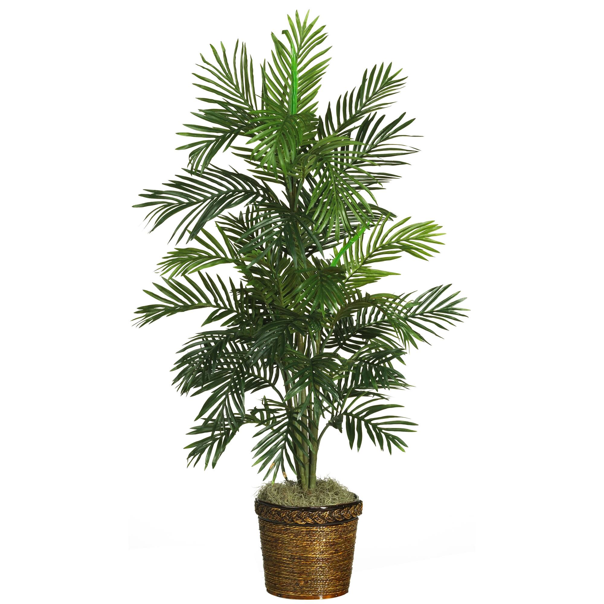 4.6ft. Areca Palm Tree with Basket